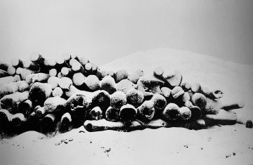 Balthasar BURKHARD (1944–2010, Switzerland): Col de la Croix (Baumstämme im Neuschnee) – Christophe Guye Galerie