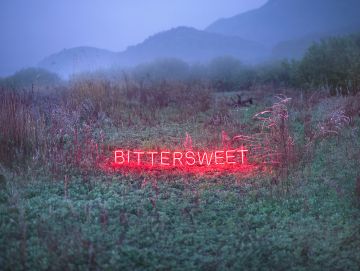 Jung Lee (*1972, South Korea): BITTERSWEET – Christophe Guye Galerie