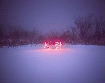 Jung Lee (*1972, South Korea): SA-RANG #2 – Christophe Guye Galerie