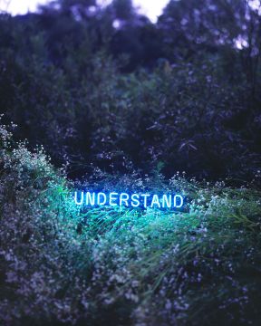 Jung Lee (*1972, South Korea): UNDERSTAND – Christophe Guye Galerie