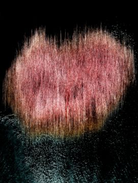 Albert WATSON (*1942, Scotland): Reeds 3 Coral Beach – Christophe Guye Galerie