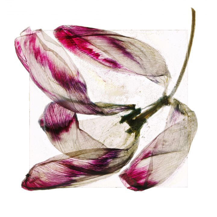 Alt.+1000 – Christophe Guye Galerie