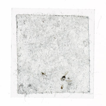 Brigitte LUSTENBERGER (*1969, Switzerland): Bugs unknown XXXI – Christophe Guye Galerie