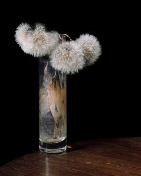 Brigitte LUSTENBERGER (*1969, Switzerland):  – Christophe Guye Galerie