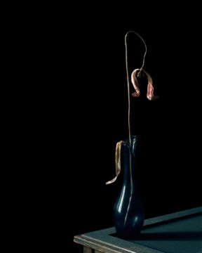 Brigitte LUSTENBERGER (*1969, Switzerland) : Flowers XII – Christophe Guye Galerie