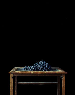 Brigitte LUSTENBERGER (*1969, Switzerland): Flowers XI – Christophe Guye Galerie