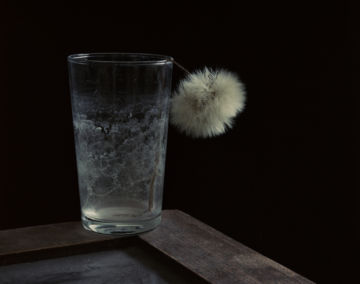 Brigitte LUSTENBERGER (*1969, Switzerland): Flowers XXVI – Christophe Guye Galerie