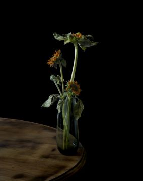 Brigitte LUSTENBERGER (*1969, Switzerland): Flowers X – Christophe Guye Galerie