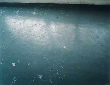 Brigitte LUSTENBERGER (*1969, Switzerland): Bird Stopped Singing – Christophe Guye Galerie