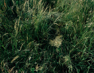 Brigitte LUSTENBERGER (*1969, Switzerland): Lost Gold Necklace – Christophe Guye Galerie