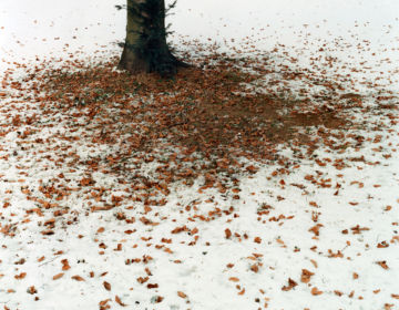 Brigitte LUSTENBERGER (*1969, Switzerland): Mangled Rabbit – Christophe Guye Galerie