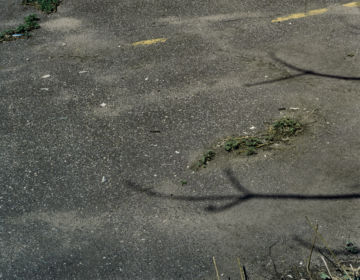 Brigitte LUSTENBERGER (*1969, Switzerland): Person Threw Up – Christophe Guye Galerie