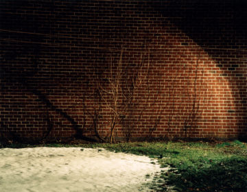 Brigitte LUSTENBERGER (*1969, Switzerland): Torn Stockings – Christophe Guye Galerie