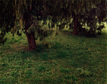 Brigitte LUSTENBERGER (*1969, Switzerland): Fritz Rubin (1905-1921) und Josephine Markwalder (1906-1921) – Christophe Guye Galerie