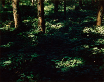 Brigitte LUSTENBERGER (*1969, Switzerland): Walter Seewer (1741-1767) Jacob Seewer (1746-1767) Adrian von Fischer (1746-1767) und Sophie Seewer (1750-1767) – Christophe Guye Galerie