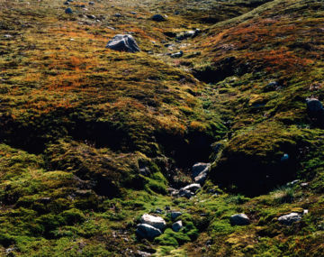 Brigitte LUSTENBERGER (*1969, Switzerland): Aline Zellweger (1786-1825) und Mina Zellweger (1825-1825) – Christophe Guye Galerie