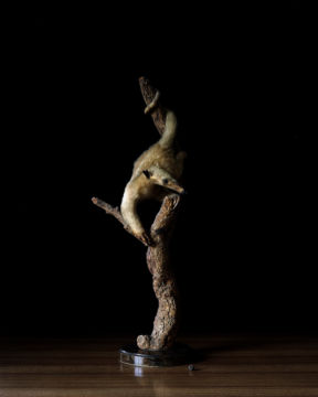 Brigitte LUSTENBERGER (*1969, Switzerland): Acorns – Christophe Guye Galerie