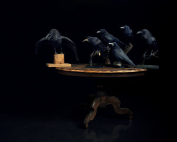 Brigitte LUSTENBERGER (*1969, Switzerland): Birds – Christophe Guye Galerie