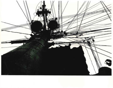 Daido MORIYAMA (*1938, Japan): Memory of Dog 8 – Christophe Guye Galerie