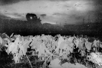Daisuke YOKOTA (*1983, Japan): Untitled (from the series Temperature) – Christophe Guye Galerie