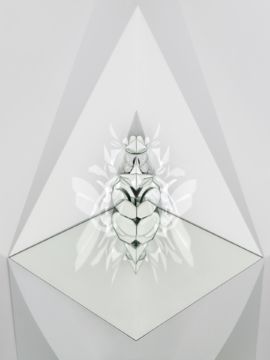 Dominique Teufen (*1975, Switzerland) : Muscaluxis Furiosa  – Christophe Guye Galerie