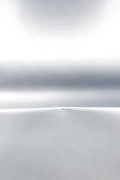 Dominique TEUFEN (*1975, Switzerland): Solitude, from the series 'Rays of Light' – Christophe Guye Galerie