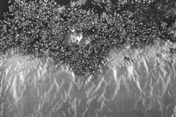 Dominique TEUFEN (*1975, Switzerland) : Riverbed  – Christophe Guye Galerie