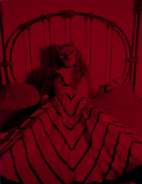 Emma SUMMERTON (*1970, Australia): as a Fox – Christophe Guye Galerie