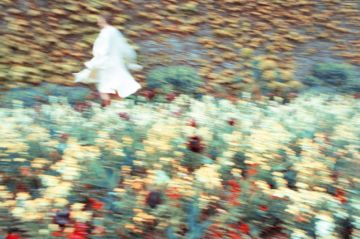 Erik MADIGAN HECK (*1983, United States): Aberglasney Gardens, Archive – Christophe Guye Galerie