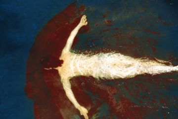 Erik MADIGAN HECK (*1983, United States): There's Blood in the Water, The Garden – Christophe Guye Galerie