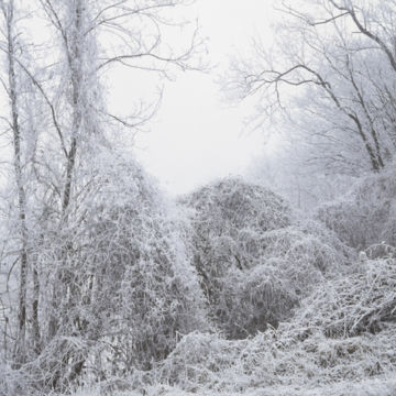 Esther MATHIS (*1985, Switzerland): Can't believe you just said that – Christophe Guye Galerie