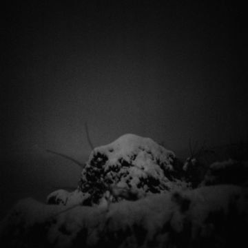 Esther MATHIS (*1985, Switzerland): I’d rather drive far away from here and somehow loose myself – Christophe Guye Galerie