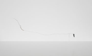 Esther MATHIS (*1985, Switzerland): Let me see you like you see me – Christophe Guye Galerie