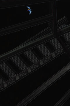 Jules SPINATSCH (*1964, Switzerland): Detection 10527 – Christophe Guye Galerie