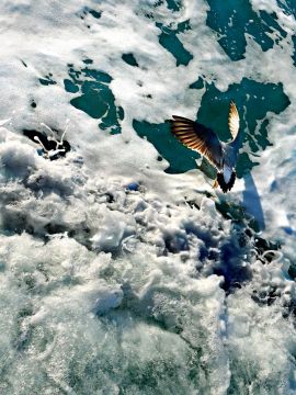 Jun AHN (*1981, South Korea): Catch #001 – Christophe Guye Galerie