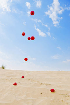 Jun AHN (*1981, South Korea): Gravity #005 – Christophe Guye Galerie