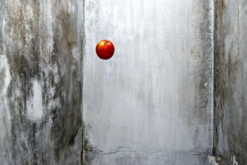 Jun AHN (*1981, South Korea): One Life (2015) #001 – Christophe Guye Galerie