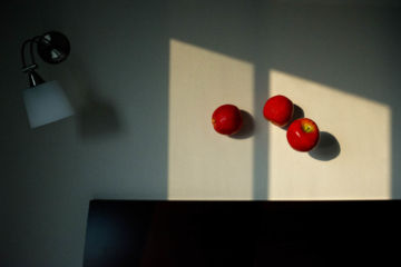 Jun AHN (*1981, South Korea): One Life (2016) #005 – Christophe Guye Galerie