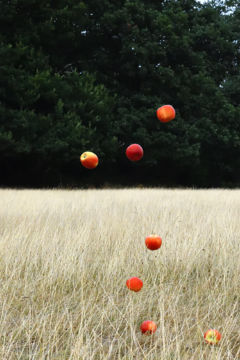 Jun AHN (*1981, South Korea): One Life (2018) #020 – Christophe Guye Galerie