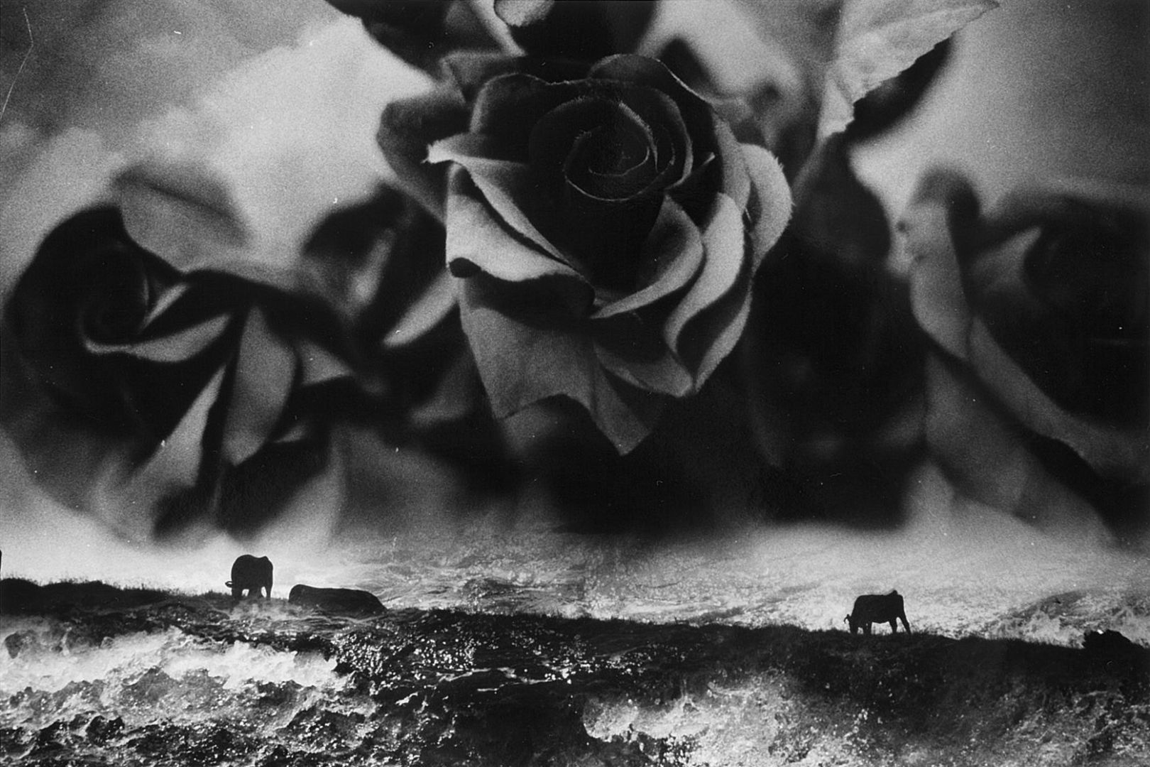 Christophe Guye Galerie Kosuke Warning 31