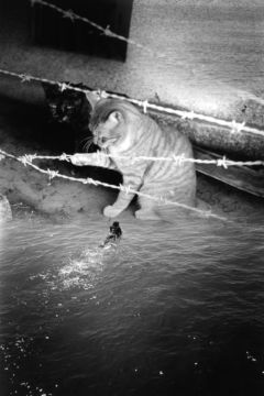 Kosuke (*1986, Japan) : WARNING #38 – Christophe Guye Galerie