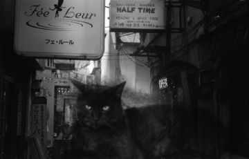 Kosuke (*1986, Japan) : WARNING #41 – Christophe Guye Galerie