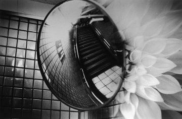 Kosuke (*1986, Japan) : WARNING #37 – Christophe Guye Galerie