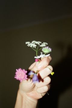 Lina SCHEYNIUS (*1981, Sweden): Me in Sweden Summer 2014 – Christophe Guye Galerie