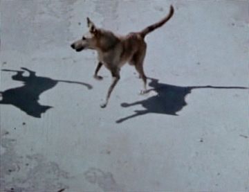 Michael WOLF (1954 – 2019, Germany): Street View: A Series of Unfortunate Events #17 – Christophe Guye Galerie