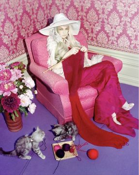 Miles ALDRIDGE (*1964, Great Britain): Cat Story #5 – Christophe Guye Galerie