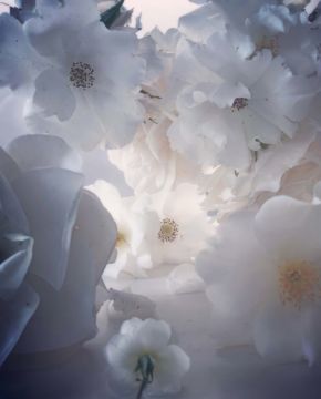 Nick KNIGHT (*1958, Great Britain): Monday 28th May, 2018 – Christophe Guye Galerie