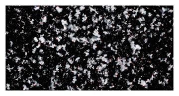 Nick KNIGHT (*1958, Great Britain): Angel (installation) La Beaute – Christophe Guye Galerie