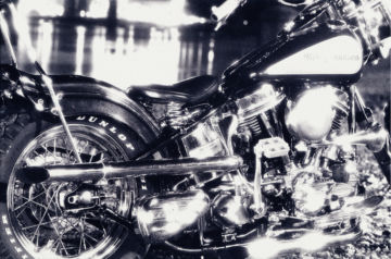 Nick KNIGHT (*1958, Great Britain): Harley – Christophe Guye Galerie
