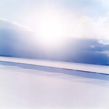 Rinko KAWAUCHI (*1972, Japan): Untitled, from the series 'AILA' – Christophe Guye Galerie